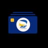 CIB Card
